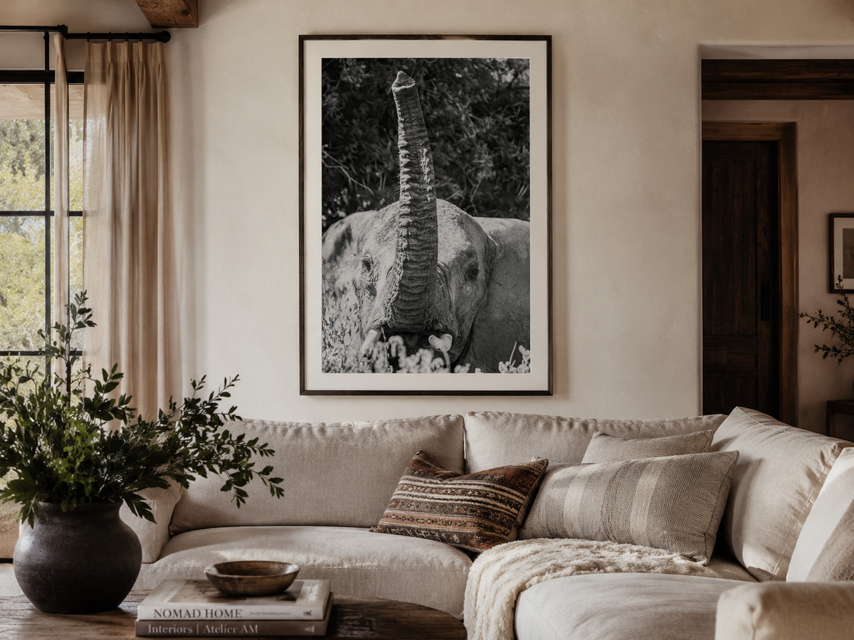 The Teen Tusk - Wildlife Print