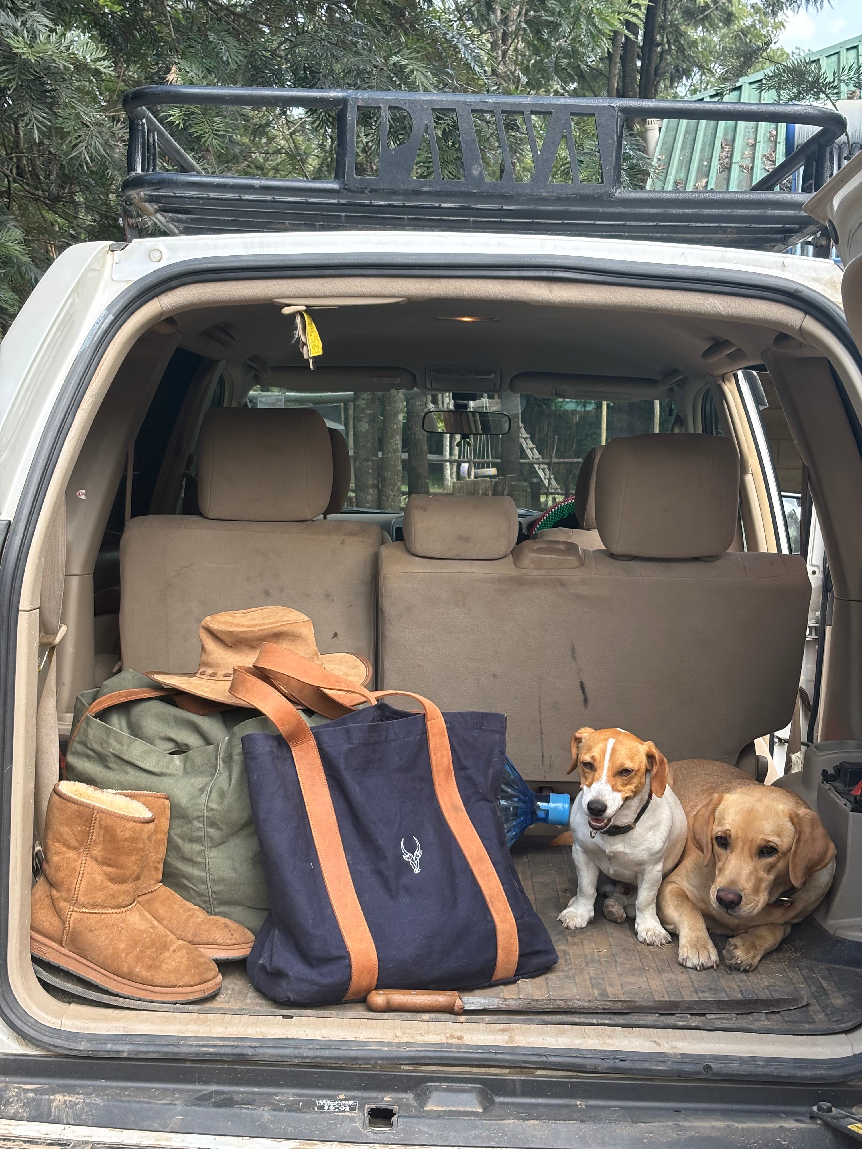 Nomad Pocket